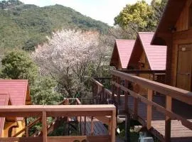 白崎草莓农家乐