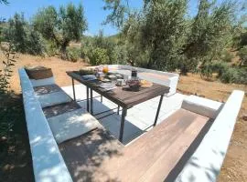 Alegria rustica 2 Rustic happiness