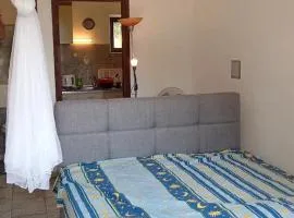 Kuća u zelenilu