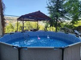 Beit Rifi Mountain Escape, with intex pool, Feitroun