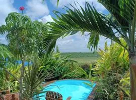 Gites kaz à klemence - Bungalow karapat - jacuzzi privé et piscine partagée au cœur de la nature à Anse-Bertrand