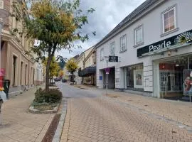 Ferien Apartments A1 in Gloggnitz