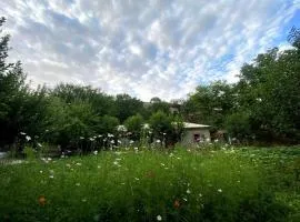Guesthouse in Hayat Village Nuratau Mountains Tours hiking in Nurota mountains and horseback and Transport services
