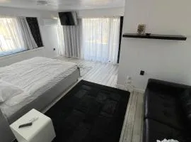 Vila Ioana