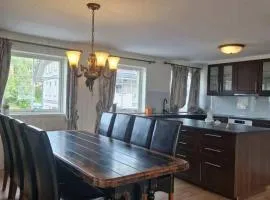 Trysil sentrum apartment