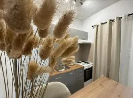 DM Apartments