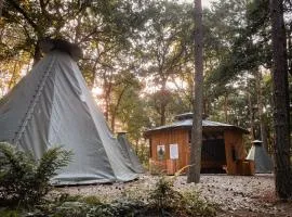 Wolfcenter Tipis - ohne Betten - inklusive Eintritt in das Wolfcenter für zwei Tage