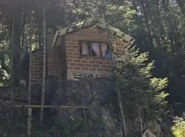 Rancho buena vista