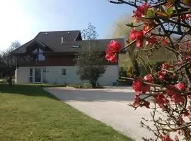 Chalet La Bachole - Chambre d'hôtes