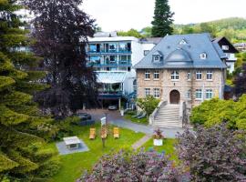 Vis á Vis Parkhotel，位于维林根的酒店