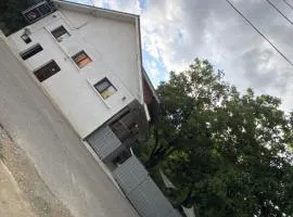 Casa Logascu