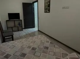 Cozy apartments in the city center