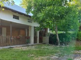 Holiday house with a parking space Donje Pazariste, Velebit - 25111
