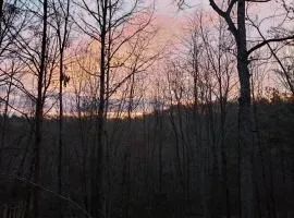 Squirrels Hideaway Fire Pit MTN Views