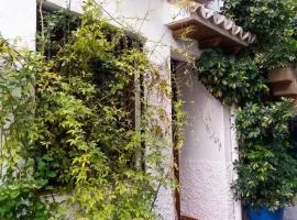 Spacious comfortable house in Quesada with balcony