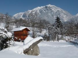 Chamonix petit chalet Cocooning，位于塞尔沃兹的木屋