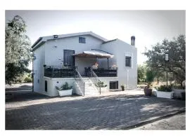 Ficodindia home