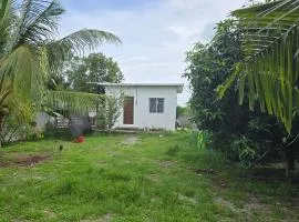 Ant & Minnies Chalet