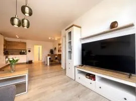 Modern New-Build Apartment Nottensdorf