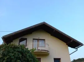 slavko