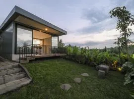 Root and Rise Cabins