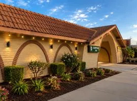 Grapevine Inn