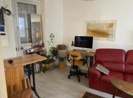 Triplex apartment in the old center
