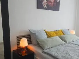 Simple Modern Apartment
