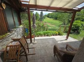 Apartma Dajana