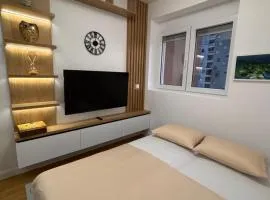 Jovana studio apartman