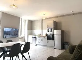 Appartement centre-ville Montluel