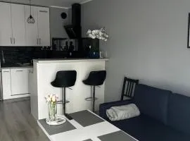 Apartament w Dolinie Baryczy