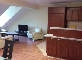 Apartamenty Sokółka，位于索库乌卡的酒店