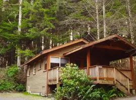 Evergreen Forest Cabins