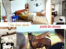 Studio du domaine équestre B & G
