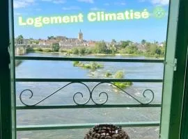 LA VUE LOIRE Appartement