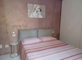 Il Pino 20