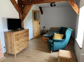 Apartament w centrum