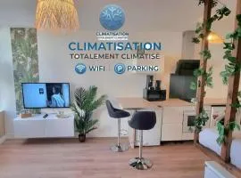 New jungle studio cœur de ville climatisé