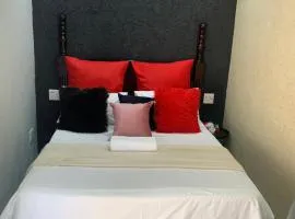 Ecogreen on OR Tambo