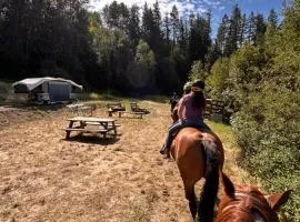Privet creek side glamping