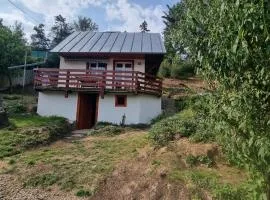 Wellness glamping Za homolí