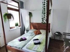 FLEX Aparts - möblierte, niedliche Ferienwohnung zentral in Zwickau