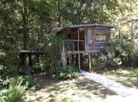 La cabane de l'oiseau