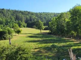 Blick ins Grüne