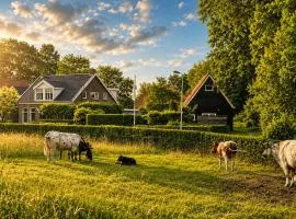 B&B Woudzicht