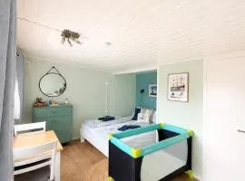 Finnenhaus 8