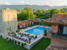Giorgi Ushikishvilis Chateau-Marani，位于Akhmeta的酒店