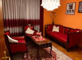 City Family Home