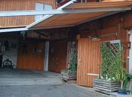 Casa Ardisia
